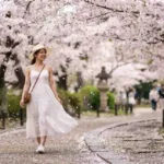Cherry Blossom Captions